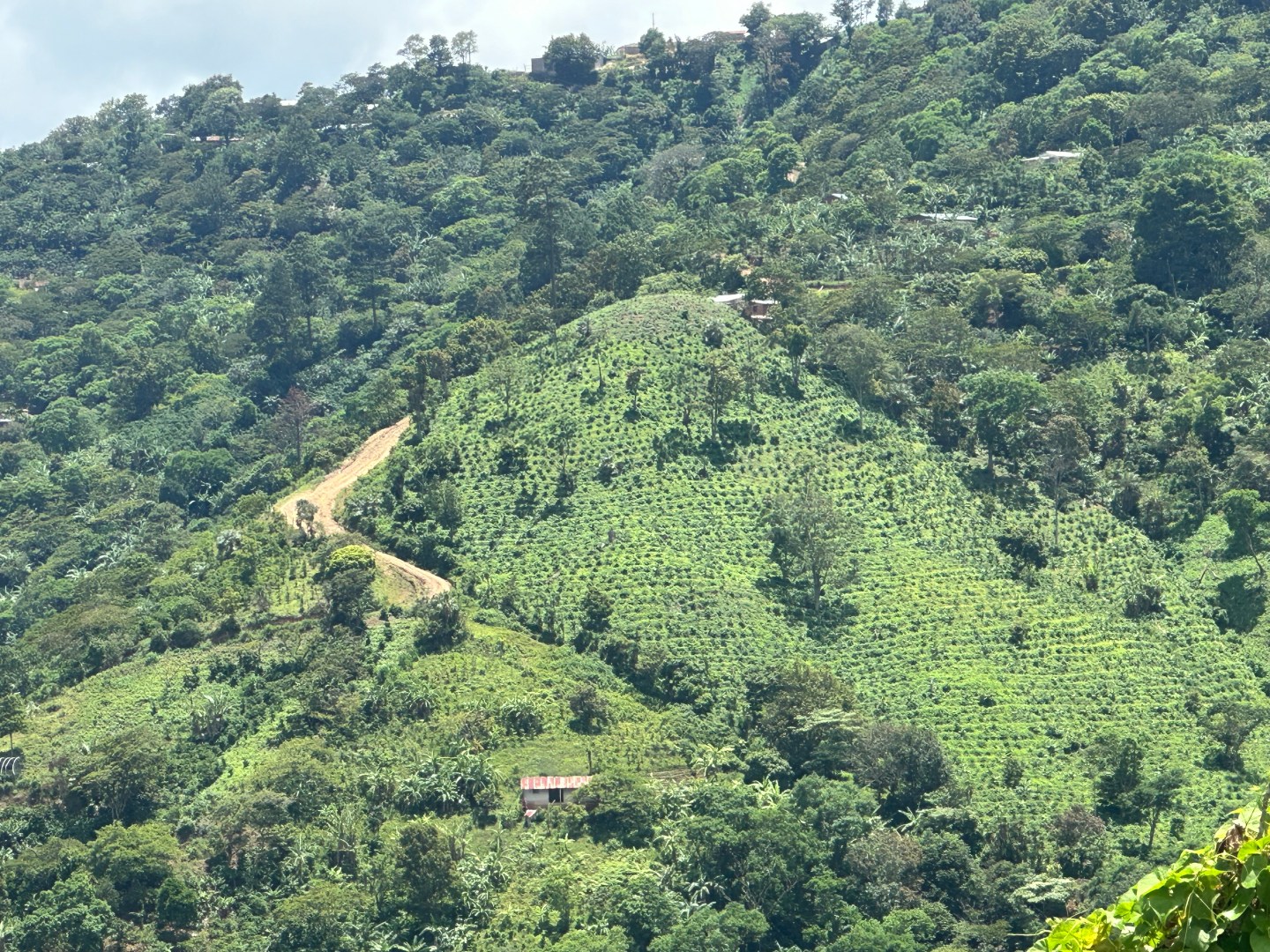 Rural Honduran hillside village where Honduras Health Horizons conducts medical and water brigades